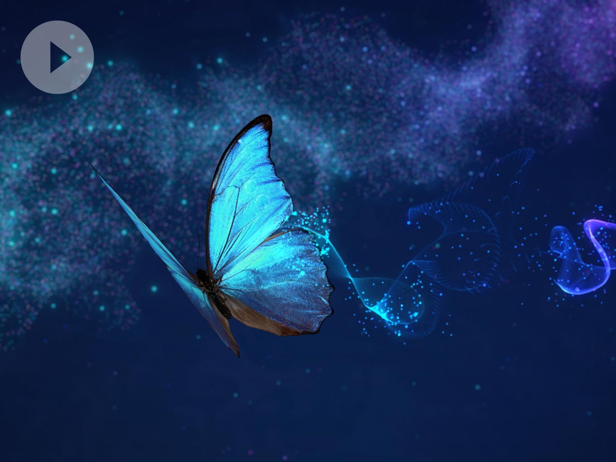 Abstract Butterfly Background